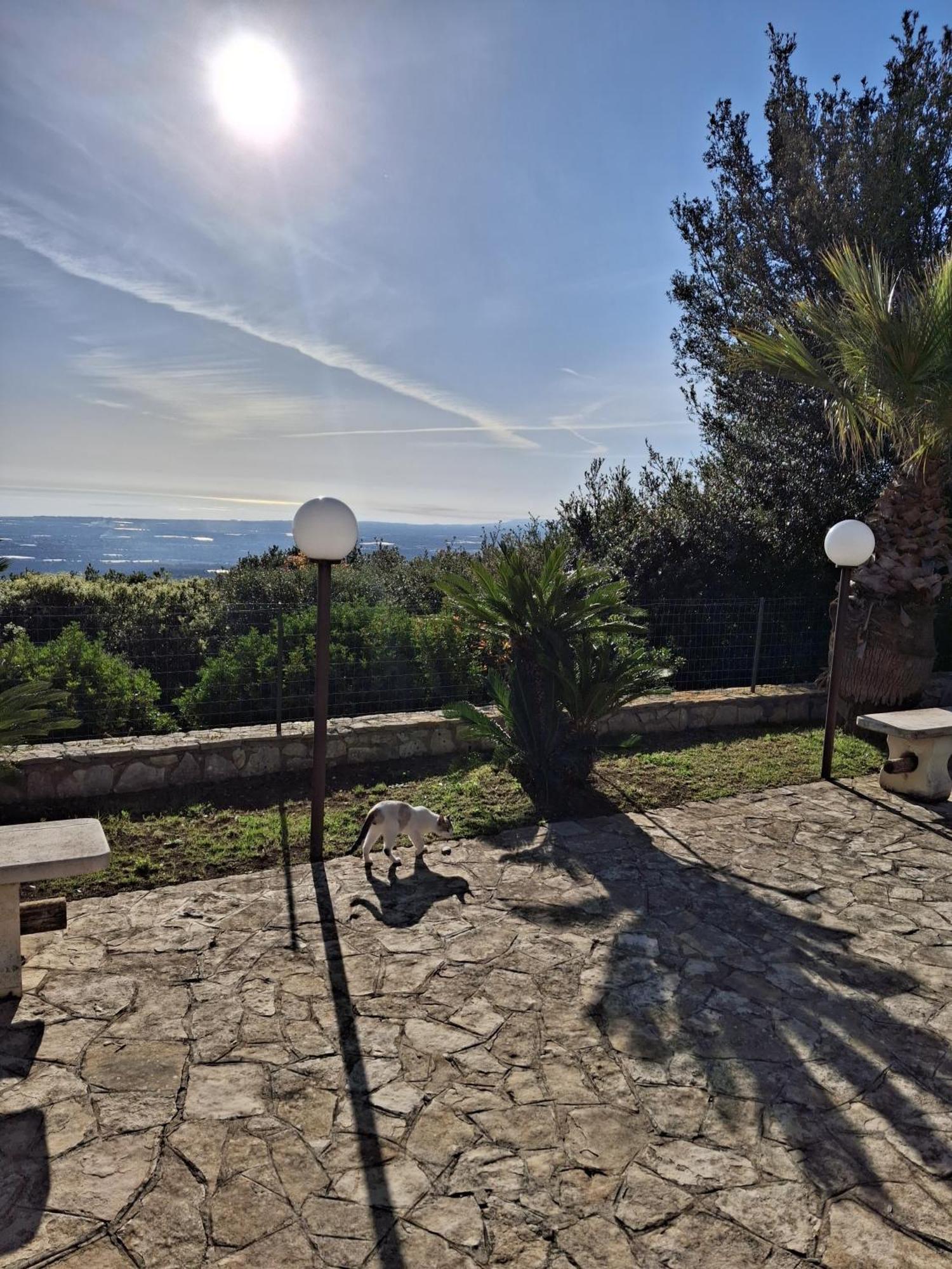 Villa Maremonti مونوبولي المظهر الخارجي الصورة